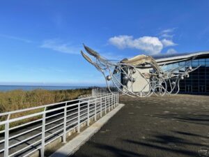 Read more about the article 國立海洋生物博物館（屏東海生館）夜宿活動介紹：寢區、食物（上集）